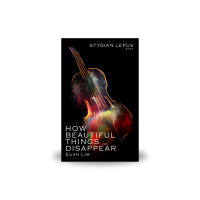 27.01 How Beautiful Things Disappear by Euan Lim
